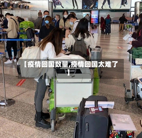 【疫情回国数量,疫情回国太难了】-第2张图片