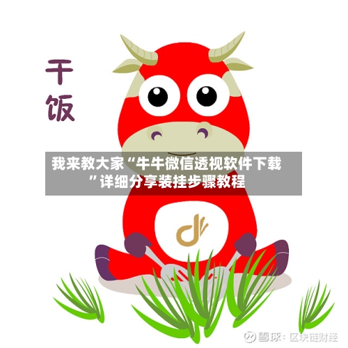 我来教大家“牛牛微信透视软件下载”详细分享装挂步骤教程
