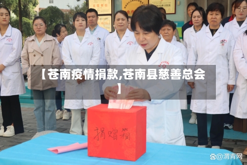 【苍南疫情捐款,苍南县慈善总会】-第3张图片