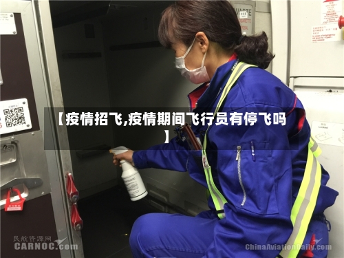 【疫情招飞,疫情期间飞行员有停飞吗】-第2张图片