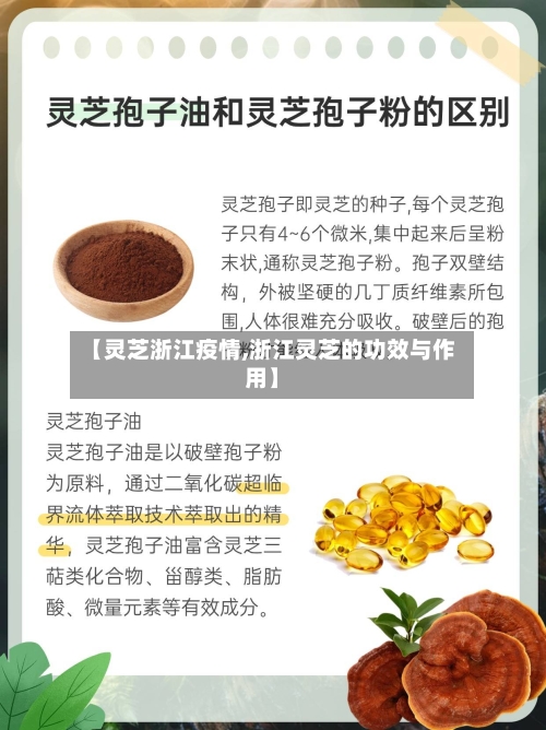 【灵芝浙江疫情,浙江灵芝的功效与作用】-第2张图片