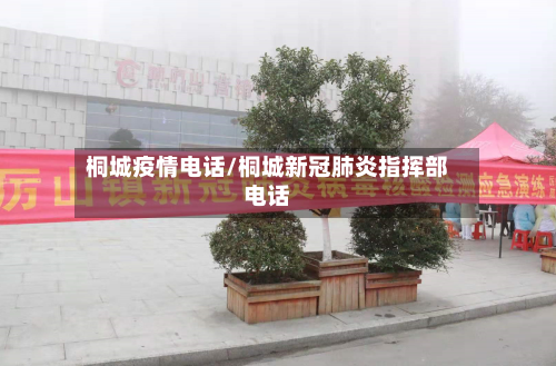 桐城疫情电话/桐城新冠肺炎指挥部电话-第2张图片