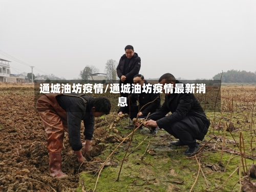 通城油坊疫情/通城油坊疫情最新消息