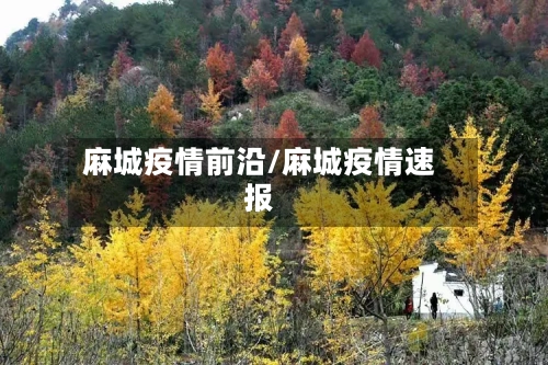 麻城疫情前沿/麻城疫情速报