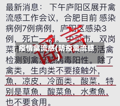 疫情禽流感(防疫禽流感)-第1张图片