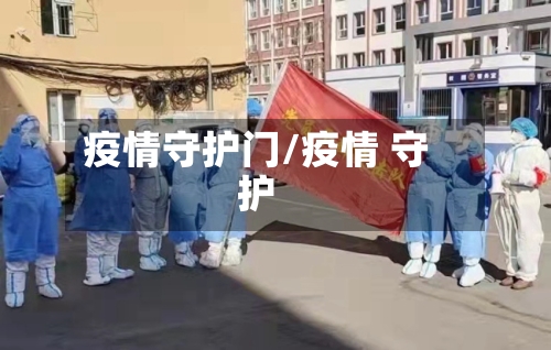 疫情守护门/疫情 守护-第2张图片
