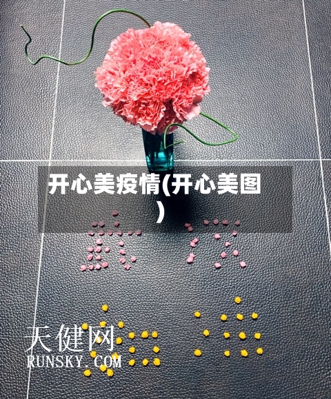 开心美疫情(开心美图)