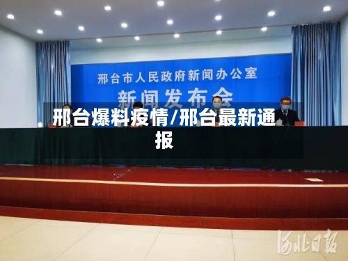 邢台爆料疫情/邢台最新通报-第3张图片
