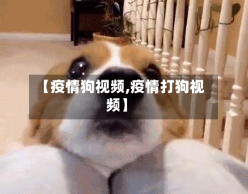 【疫情狗视频,疫情打狗视频】