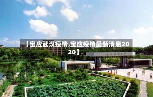 【宝应武汉疫情,宝应疫情最新消息2020】
