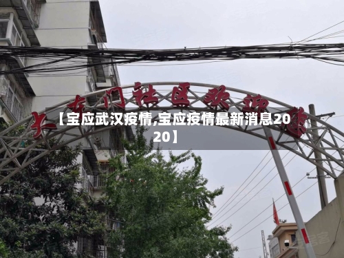 【宝应武汉疫情,宝应疫情最新消息2020】-第2张图片