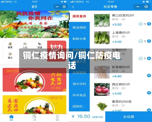 铜仁疫情询问/铜仁防疫电话