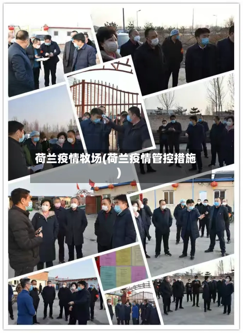 荷兰疫情牧场(荷兰疫情管控措施)