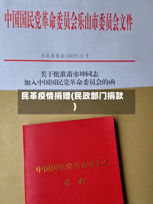 民革疫情捐赠(民政部门捐款)