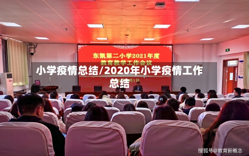 小学疫情总结/2020年小学疫情工作总结