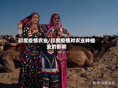 印度疫情农业/印度疫情对农业种植业的影响-第2张图片
