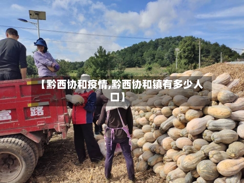 【黔西协和疫情,黔西协和镇有多少人口】
