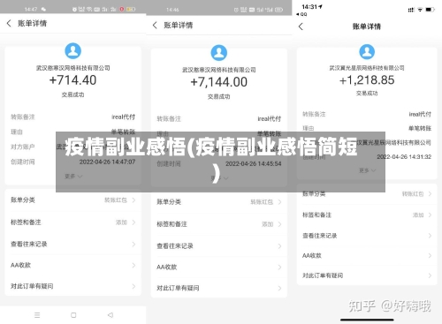 疫情副业感悟(疫情副业感悟简短)-第2张图片