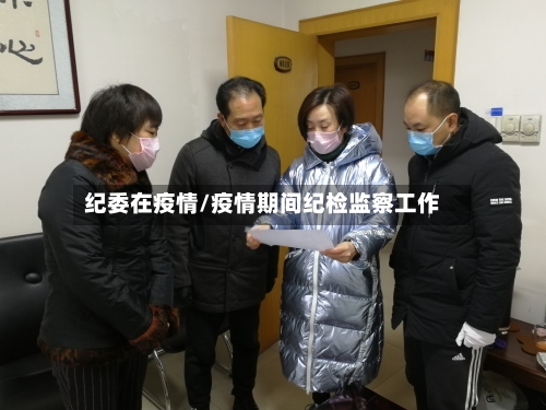 纪委在疫情/疫情期间纪检监察工作