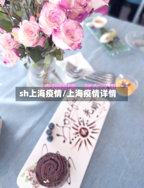 sh上海疫情/上海疫情详情