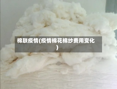 棉联疫情(疫情棉花棉纱费用变化)