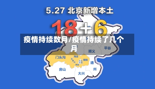 疫情持续数月/疫情持续了几个月
