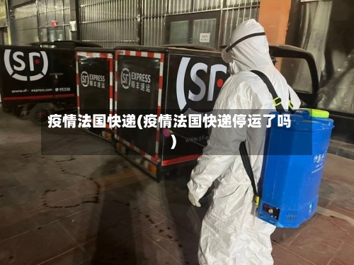 疫情法国快递(疫情法国快递停运了吗)