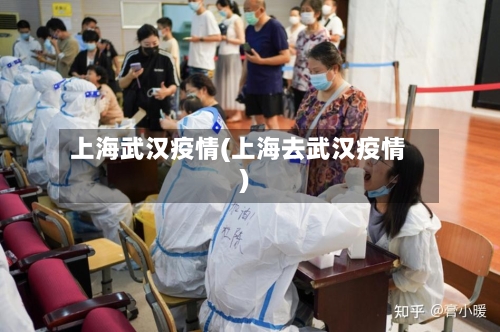 上海武汉疫情(上海去武汉疫情)-第2张图片