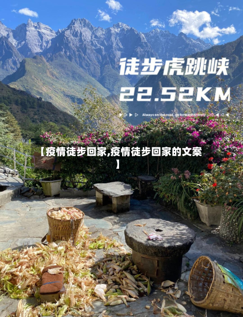 【疫情徒步回家,疫情徒步回家的文案】