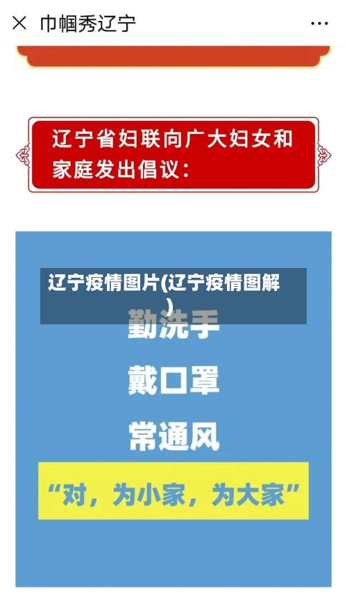 辽宁疫情图片(辽宁疫情图解)