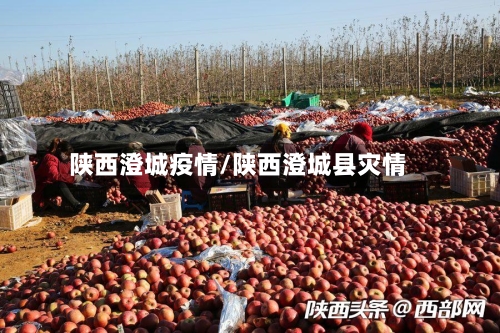 陕西澄城疫情/陕西澄城县灾情-第1张图片