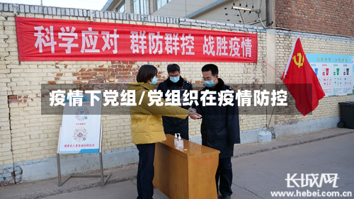 疫情下党组/党组织在疫情防控-第1张图片