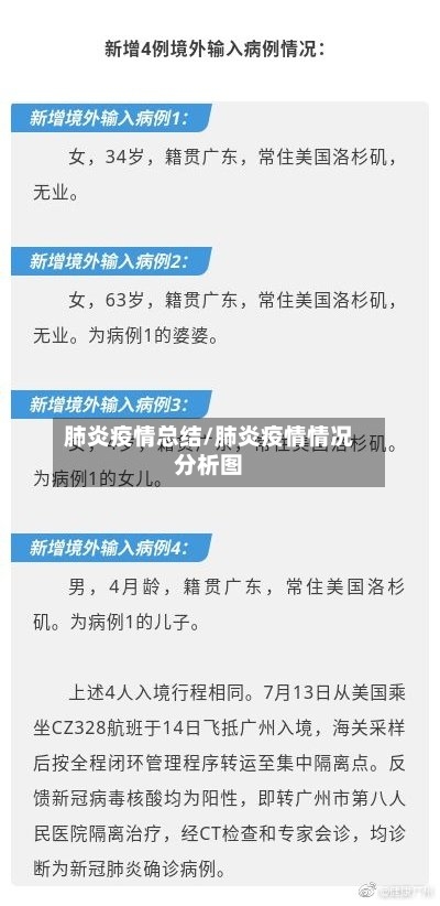 肺炎疫情总结/肺炎疫情情况分析图-第1张图片