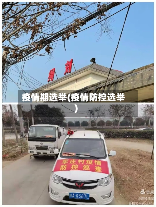 疫情期选举(疫情防控选举)-第1张图片