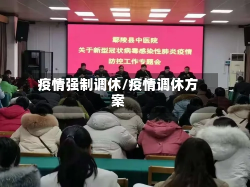 疫情强制调休/疫情调休方案-第1张图片
