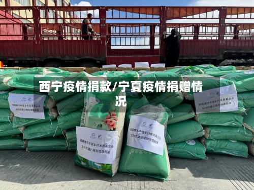 西宁疫情捐款/宁夏疫情捐赠情况-第2张图片