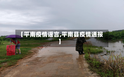 【平南疫情谣言,平南县疫情通报】-第1张图片