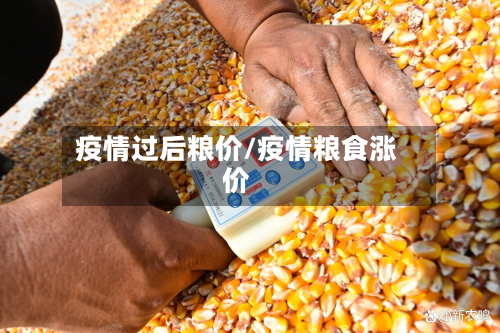 疫情过后粮价/疫情粮食涨价-第2张图片
