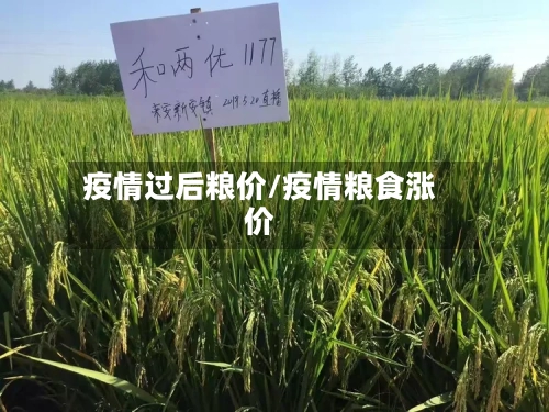 疫情过后粮价/疫情粮食涨价-第3张图片