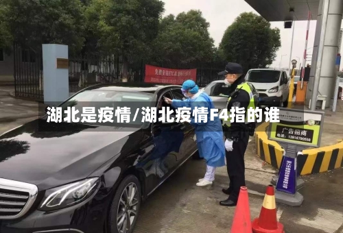 湖北是疫情/湖北疫情F4指的谁-第1张图片