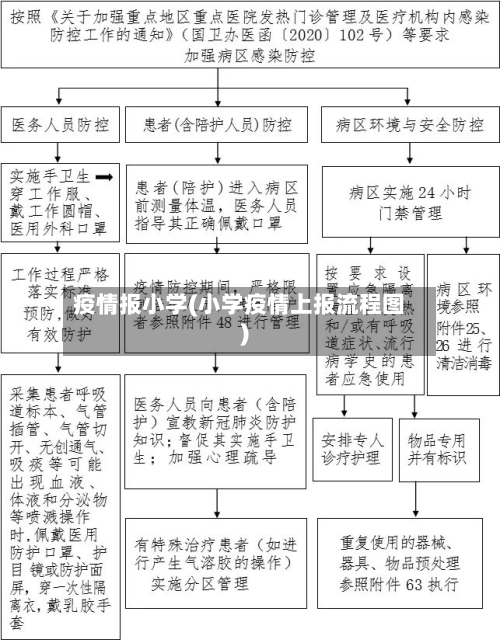 疫情报小学(小学疫情上报流程图)-第2张图片
