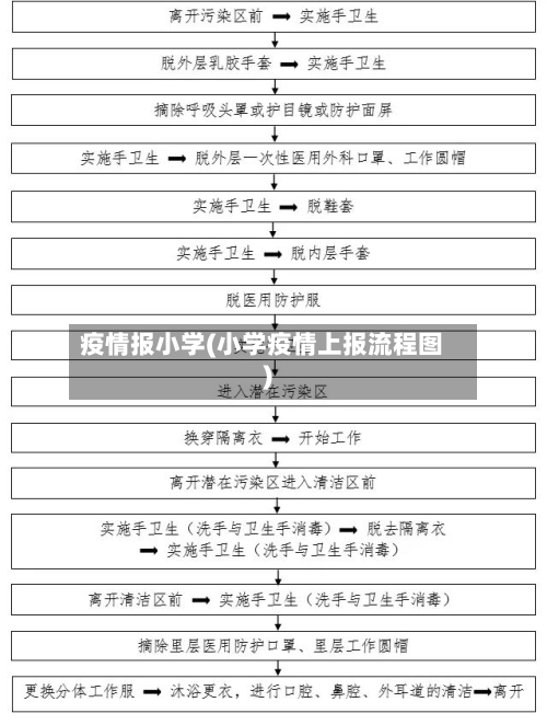 疫情报小学(小学疫情上报流程图)-第1张图片