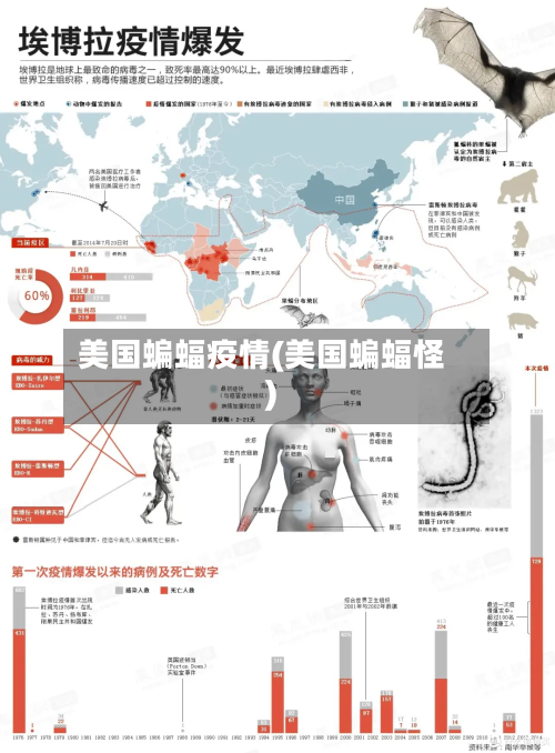美国蝙蝠疫情(美国蝙蝠怪)-第1张图片