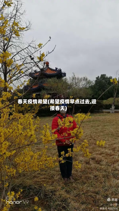 春天疫情希望(希望疫情早点过去,迎接春天)-第1张图片
