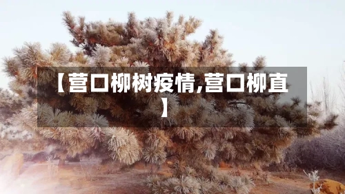 【营口柳树疫情,营口柳直】-第1张图片