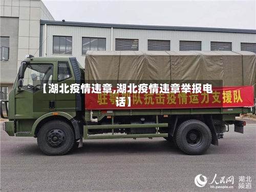 【湖北疫情违章,湖北疫情违章举报电话】-第2张图片