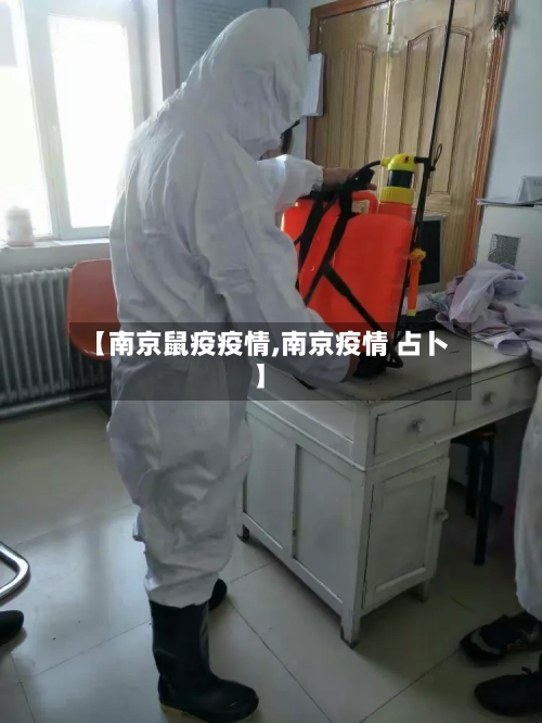 【南京鼠疫疫情,南京疫情 占卜】-第2张图片
