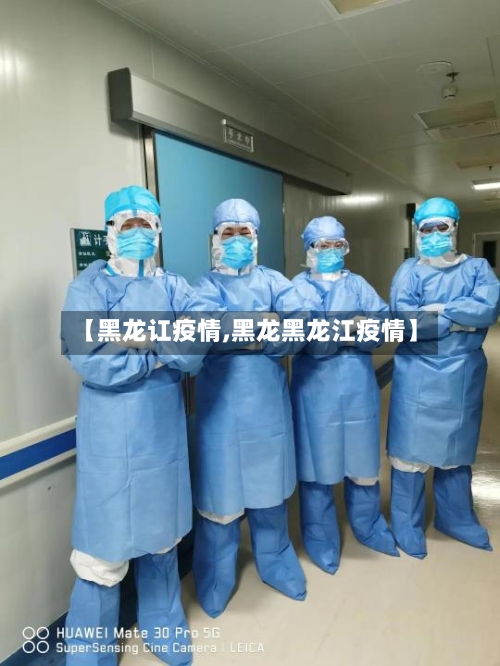 【黑龙讧疫情,黑龙黑龙江疫情】-第2张图片