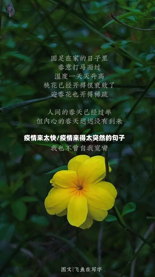 疫情来太快/疫情来得太突然的句子-第2张图片