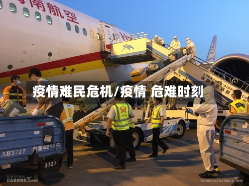 疫情难民危机/疫情 危难时刻-第2张图片